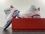 Air Jordan 6 Red Oreo CT8529-162 - 3