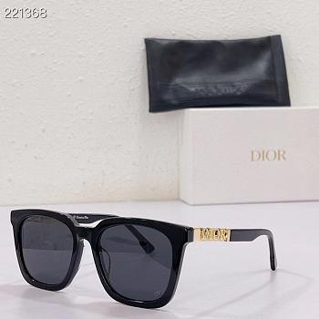 D10r sunglasses 20220608