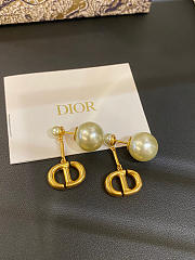 D10r earring 2022061605 - 1