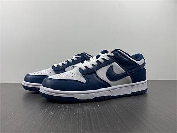 Nike Dunk Low Valerian Blue  DD1391-400