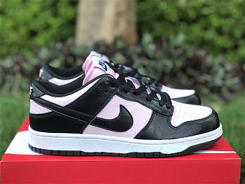 Nike Dunk Low DJ9955-600 