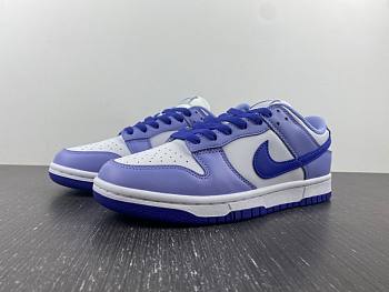 Nike Dunk Low GS Blueberry DZ4456-100