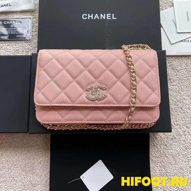 Chane1 Wallet on chain 19CM - 1