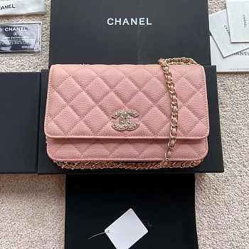 Chane1 Wallet on chain 19CM