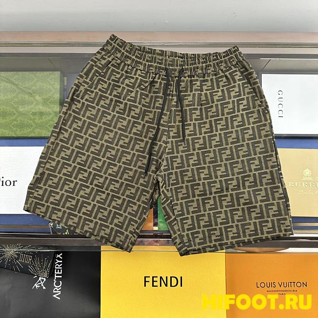 Fend1 shorts 2023051201 - 1