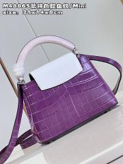 1V Capucines bag 21*14*8cm - 2