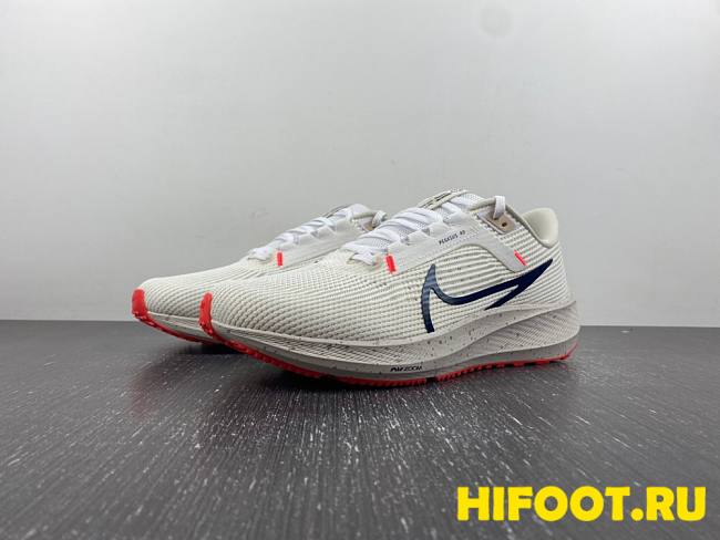 Nike Air Zoom Pegasus 40 Wide White Obsidian DV7480-100 - 1