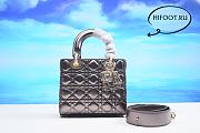 D10R Lady bag silver 20CM 2023090701 - 1