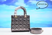 D10R Lady bag silver 20CM 2023090701 - 6