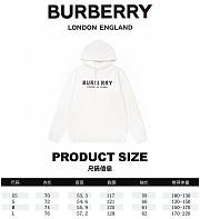 Burberry hoodie 2023091403 - 2