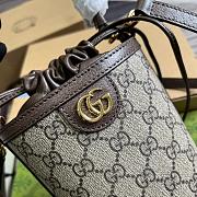 Gucci Ophidia 11.5*20*8CM  2023100502 - 2