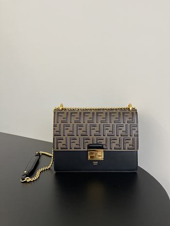 Fendi Kan U bag 25*11*10cm