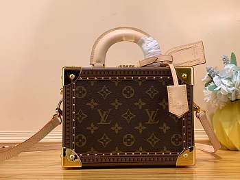 LV Monogram Petite Valise 2023111801