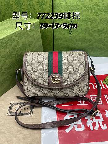 Gucci Ophidia bag 19*13*5CM 2023112301