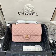 Chanel Classic Double Flap Bag Calfskin Medium 25CM  - 1