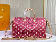 LV Speedy P9 Bandoulière 40 40*26*23CM 2024050401 - 5