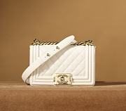 Chanel Le Boy 20CM  - 1