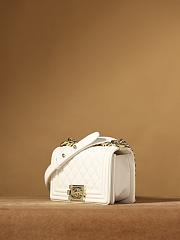 Chanel Le Boy 20CM  - 3