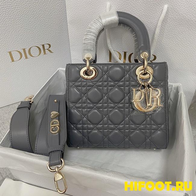 Dior Lady 20CM 2024062101 - 1