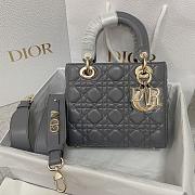 Dior Lady 20CM 2024062101 - 1