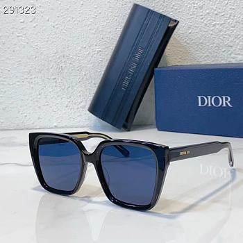 Dior sunglasses 2024061701