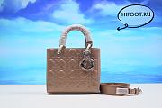 Dior lady 20CM 2024062801 - 1