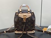 LV backpack bag Mini 24*25*12CM - 4