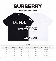 Burberry T-shirt 2024070504 - 6