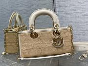 Dior Lady  D-joy 26CM - 1