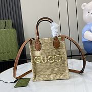 Gucci Lido raffia mini 14*18.5*8CM  - 1