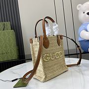 Gucci Lido raffia mini 14*18.5*8CM  - 5