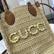 Gucci Lido raffia mini 14*18.5*8CM  - 3