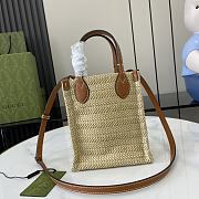 Gucci Lido raffia mini 14*18.5*8CM  - 4