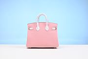 Hermes Birkin 25CM 204072901 - 3