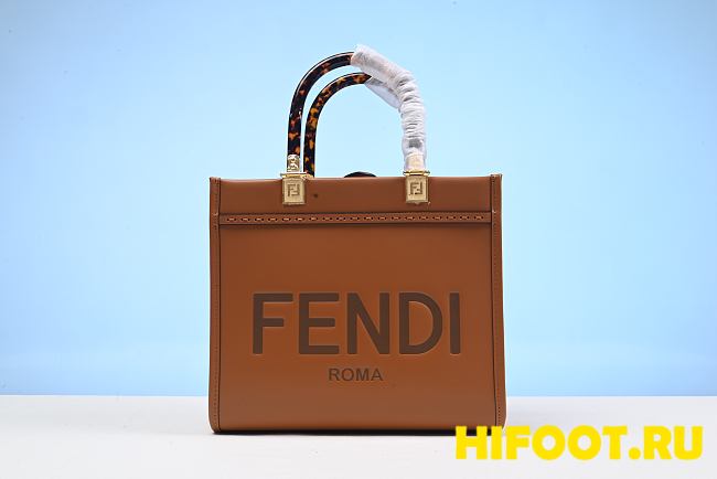 Fendi tote bag PM size 25CM 2024072901 - 1