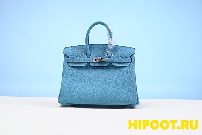 Hermes Birkin 25CM 204072902 - 1