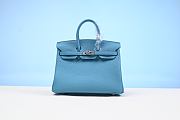 Hermes Birkin 25CM 204072902 - 1