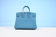 Hermes Birkin 25CM 204072902 - 3