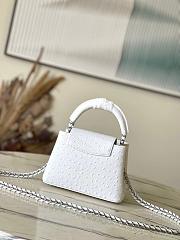 LV capucines N48865 21*14*8CM  - 4