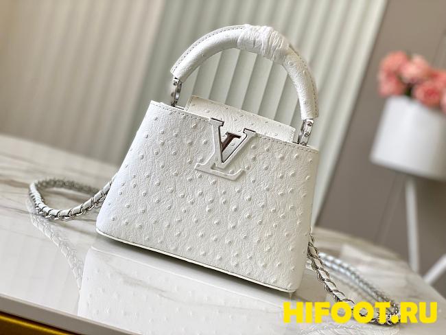 LV capucines N48865 21*14*8CM  - 1