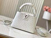 LV capucines N48865 21*14*8CM  - 1