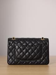 Chanel CF Bag 23CM 2024090301 - 5