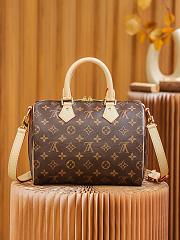 LV speedy 25 2024090401 - 1