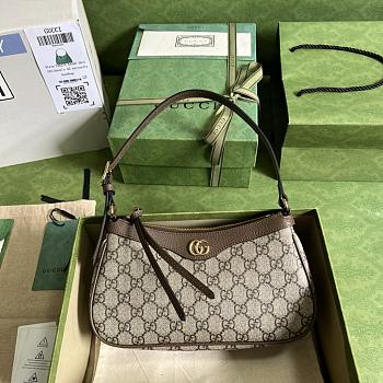 Gucci Ophidia 25*15.5*6CM 2024091101