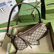 Gucci Ophidia 25*15.5*6CM 2024091101 - 5