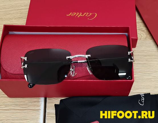 Cartier sunglasses 2024110701 - 1