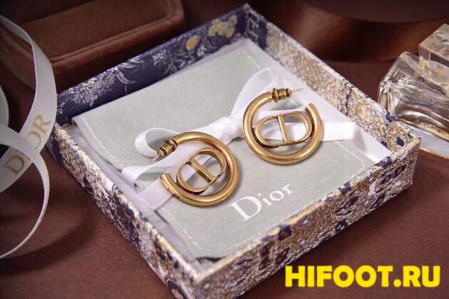 Dior earring 2024112001 - 1