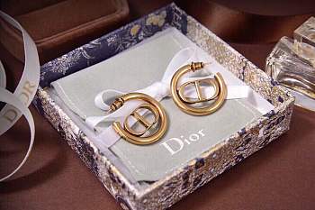 Dior earring 2024112001