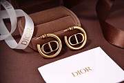 Dior earring 2024112001 - 2