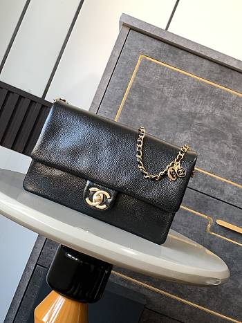 Chanel small Grained Shiny Calfskin & Gold-Tone Metal Flap Bag 22CM 2024120602